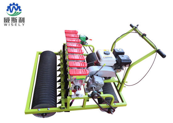 Chine Le moteur à essence 8 rangées de machines vertes de planteur de salade utilisées dans l&amp;#39;agriculture fournisseur