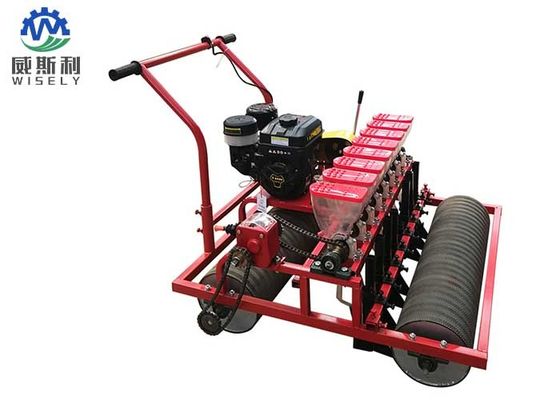 Chine 8-15 machine de planteur de tomate d'espacement de rangée de cm/équipement de plantation rouge de tomate fournisseur