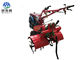 Moteur diesel de mini d'agriculture de machines agricoles talle rouge de puissance 5,67 kilowatts fournisseur